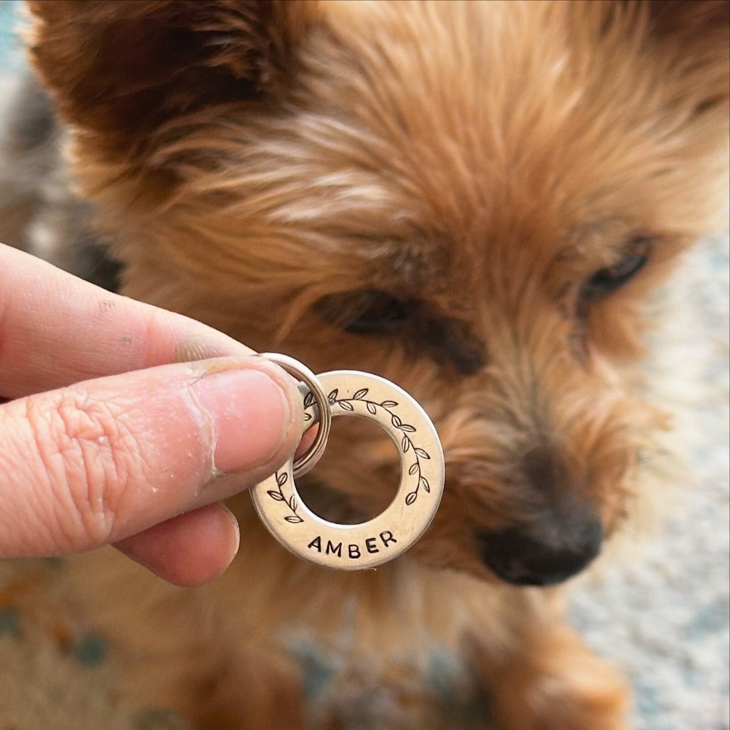 Personalised Pet Disc Dog puppy ID Tag Washer silver steel Ring spinner
