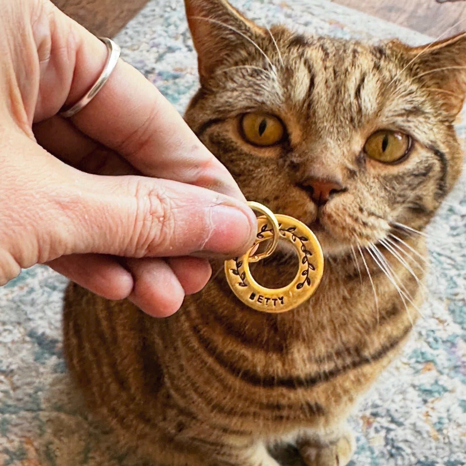 Pet Tags