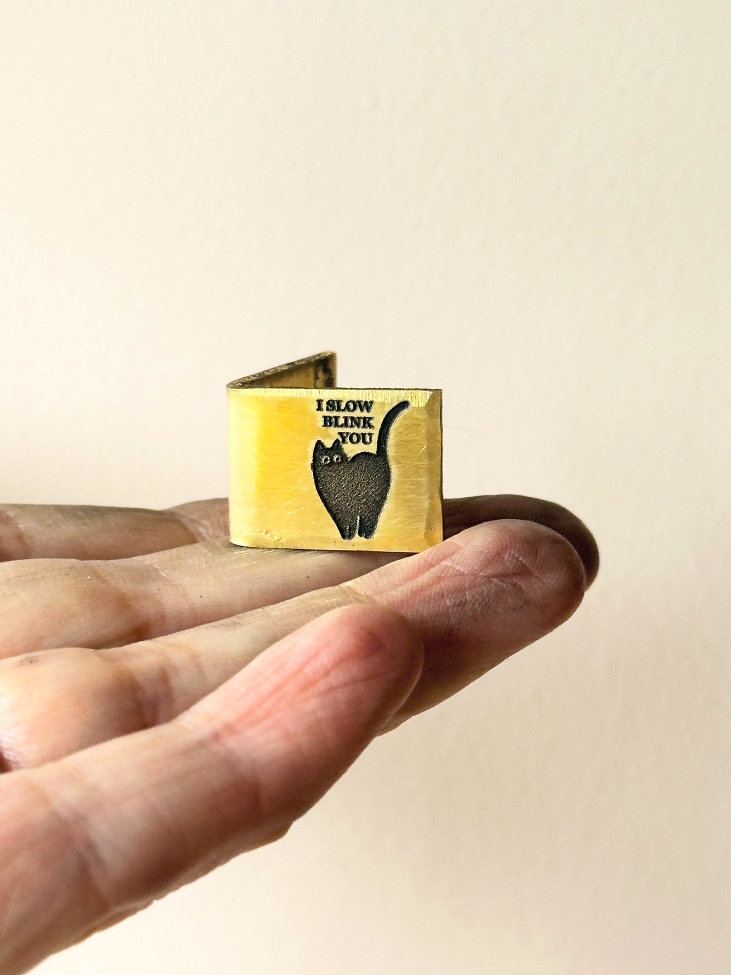 I SLOW BLINK YOU Funny cat lover wedding anniversary card. Custom initials and date