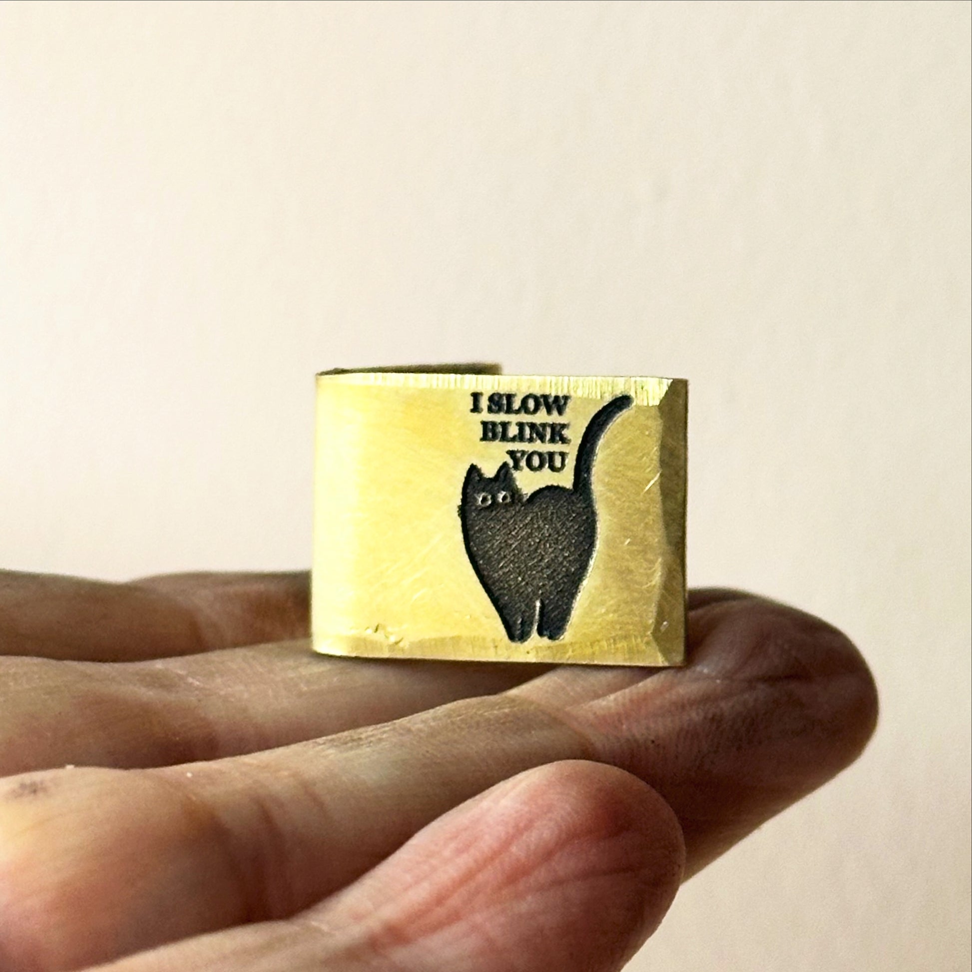 i slow blink you. personalised wedding anniversary metal card. cat lover