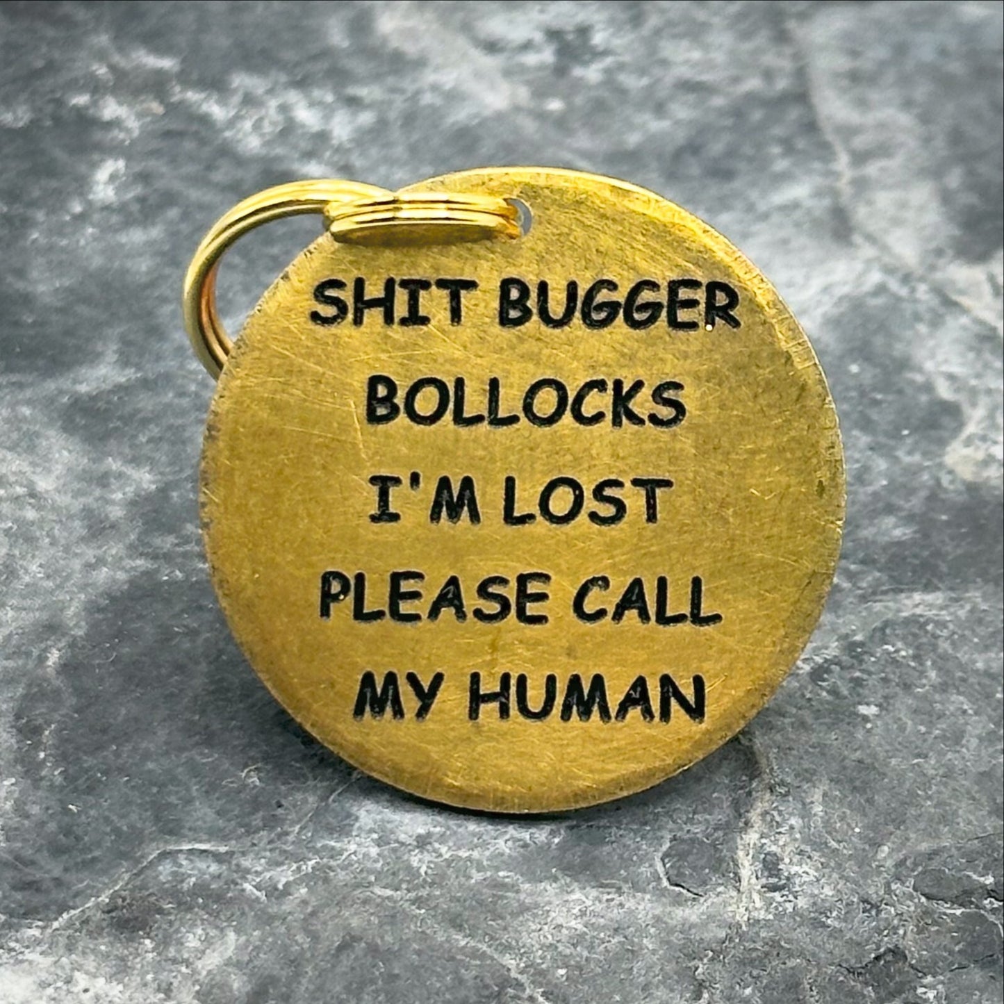 Personalised Funny Pet Disc Dog ID Tag IM LOST CALL MY HUMAN