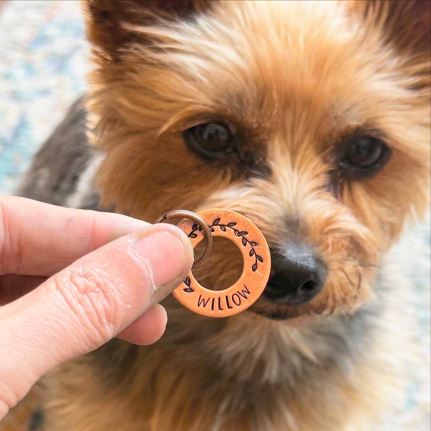 Personalised Pet Disc Dog puppy ID Tag Washer silver steel Ring spinner
