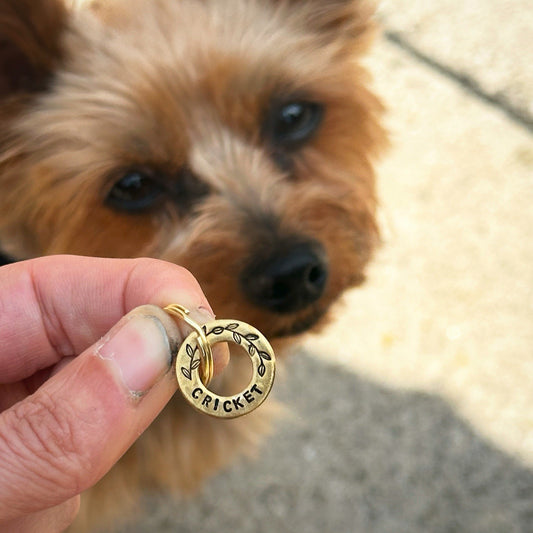 Personalised XS Teacup Small Pet Disc Dog Puppy ID Tag Brass Washer Spinner