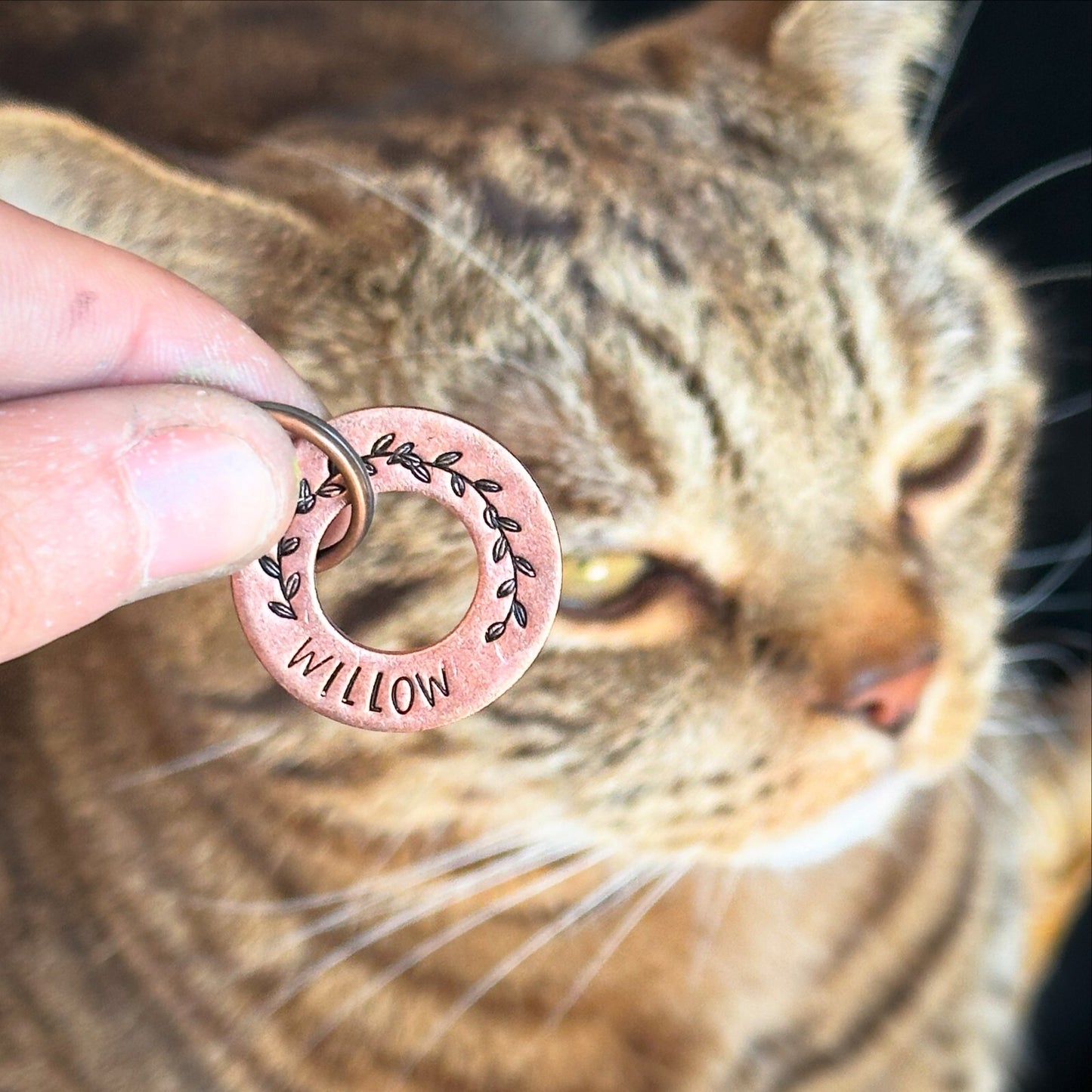 Personalised Pet Disc Dog puppy ID Tag Washer silver steel Ring spinner
